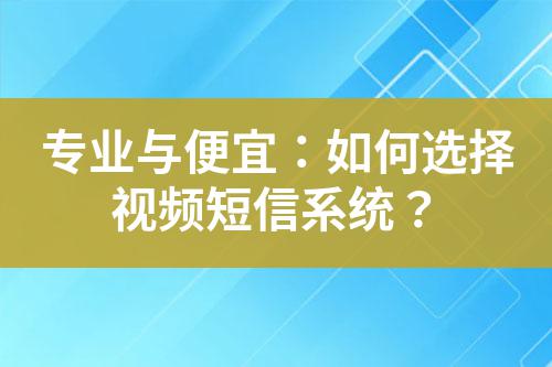 專業(yè)與便宜:如何選擇視頻短信系統(tǒng)?