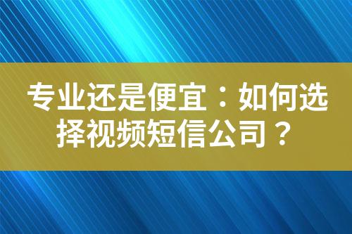 專業(yè)還是便宜:如何選擇視頻短信公司?
