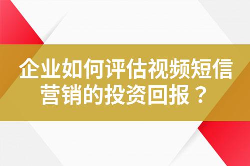 企業如何評估視頻短信營銷的投資回報?