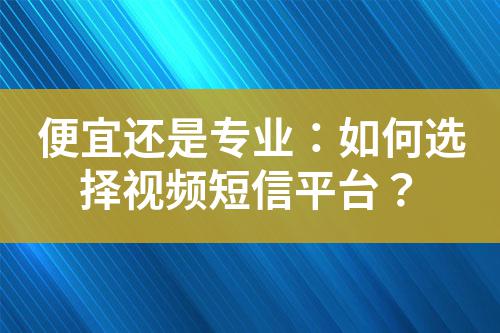 便宜還是專業(yè)：如何選擇視頻短信平臺？