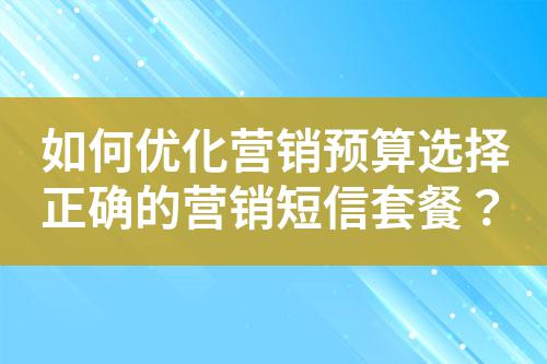 如何優化營銷預算選擇正確的營銷短信套餐?