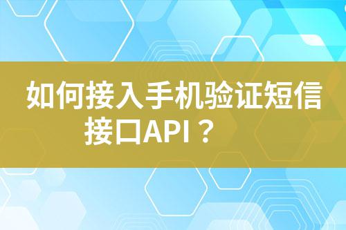 如何接入手機驗證短信接口API?