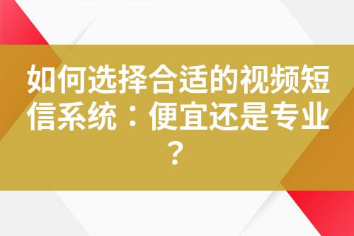 如何選擇合適的視頻短信系統：便宜還是專業？