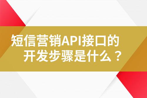 短信營銷API接口的開發(fā)步驟是什么?