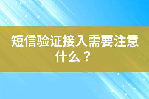 短信驗(yàn)證接入需要注意什么？