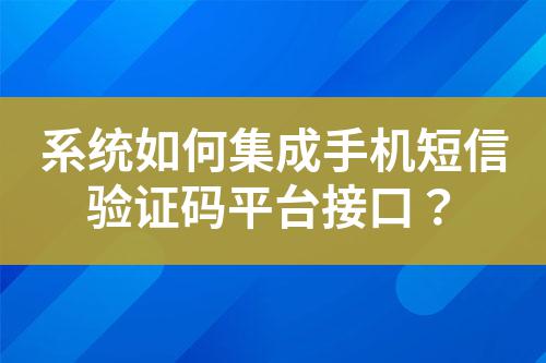 系統如何集成手機短信驗證碼平臺接口?