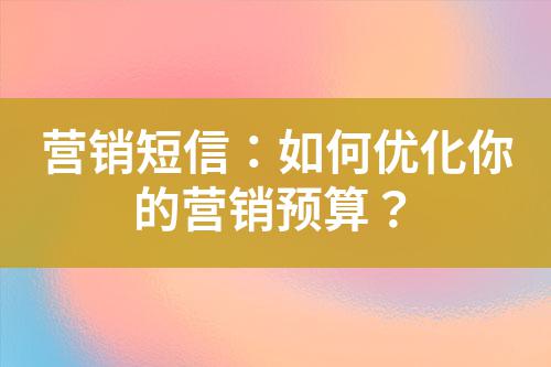 營銷短信:如何優化你的營銷預算?