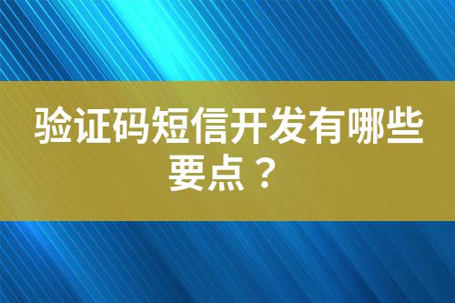 驗證碼短信開發有哪些要點？